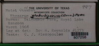 Image Associated With the Occurrence